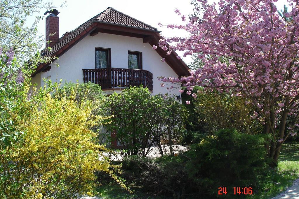 Ferienhaus "Werrablick-Frankenroda" Bagian luar foto